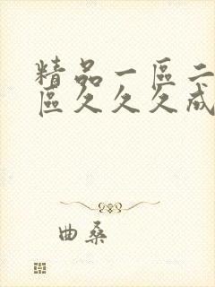 精品一区二区三区久久久成人