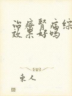 治疗肾病综合症效果好吗