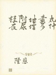 桂附地黄丸吃了夜尿增多什么原因