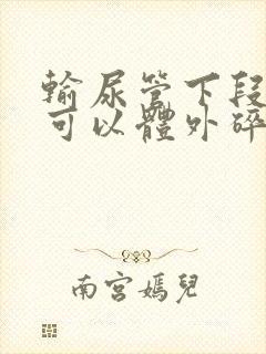 输尿管下段结石可以体外碎石