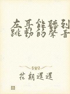 左耳能听到脉搏跳动的声音