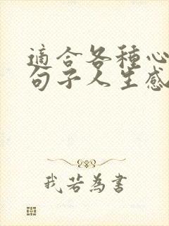 适合各种心情的句子人生感悟