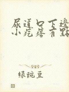 尿道口下边有个小疙瘩有点痒