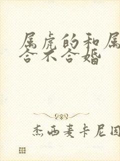 属虎的和属兔的合不合婚