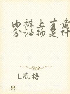 内裤上有黄色的分泌物是什么原因女生