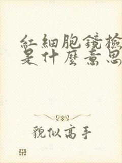 红细胞镜检2+是什么意思