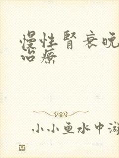 慢性肾衰晚期的治疗