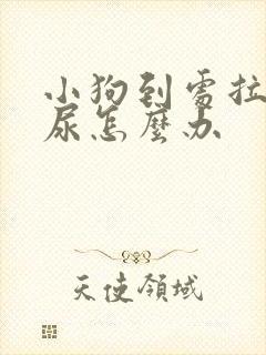 小狗到处拉屎拉尿怎么办