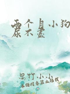 两个月小狗总是尿不尽