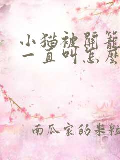 小猫被关笼子里一直叫怎么办