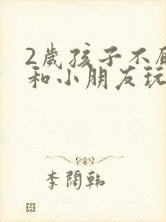 2岁孩子不愿意和小朋友玩怎么回事