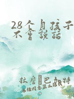 28个月孩子还不会说话