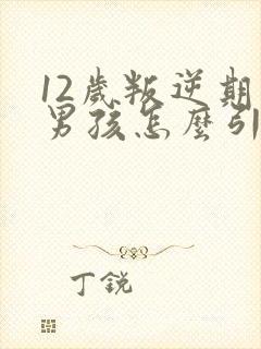 12岁叛逆期的男孩怎么引导