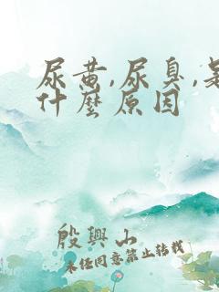 尿黄,尿臭,是什么原因