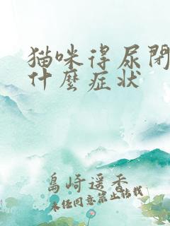 猫咪得尿闭症是什么症状