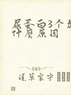 尿蛋白3个加号什么原因