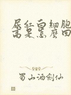 尿红白细胞计数高是怎么回事