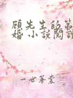 顾先生的第一宠婚 小说阅读