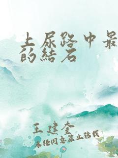 上尿路中最常见的结石