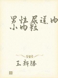 男性尿道内口长小肉粒