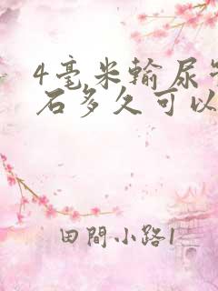 4毫米输尿管结石多久可以排出