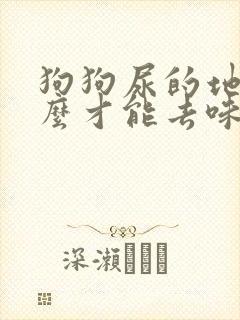 狗狗尿的地方怎么才能去味