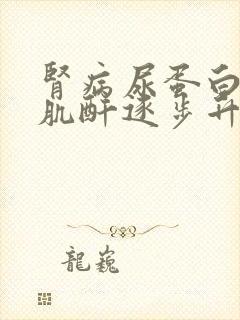 肾病尿蛋白转阴肌酐逐步升高