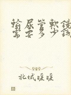 输尿管软镜碎石需要多少钱