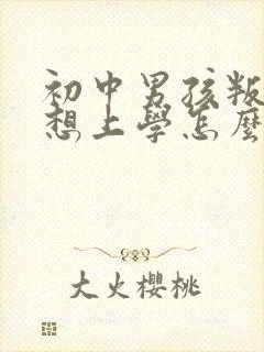 初中男孩叛逆不想上学怎么办