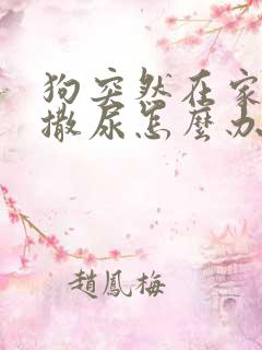 狗突然在家里乱撒尿怎么办