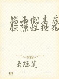 脑两侧基底节区腔隙性梗死