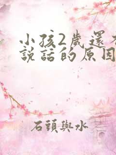 小孩2岁还不会说话的原因