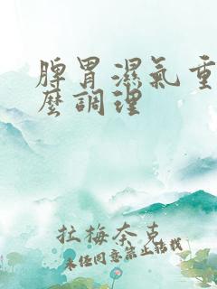 脾胃湿气重 怎么调理