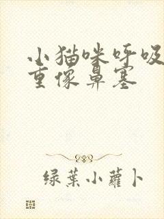 小猫咪呼吸声音重像鼻塞