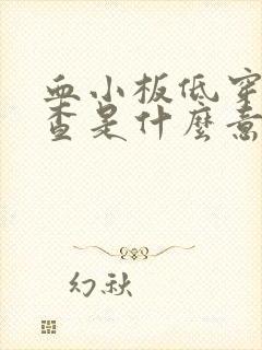 血小板低穿刺检查是什么意思