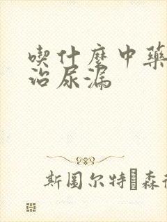 吃什么中药可以治尿漏