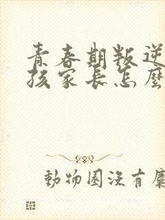 青春期叛逆的女孩家长怎么办