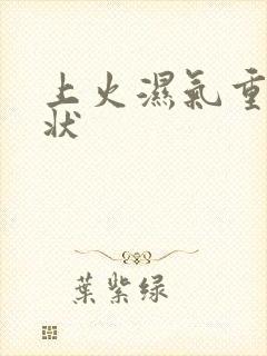 上火湿气重的症状