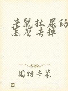 老鼠拉尿的臭味怎么去掉