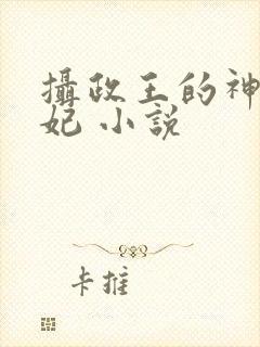 摄政王的神医毒妃 小说