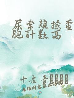 尿常规检查白细胞计数高