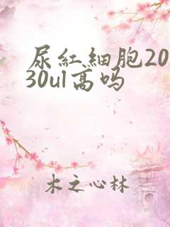 尿红细胞20～30ul高吗