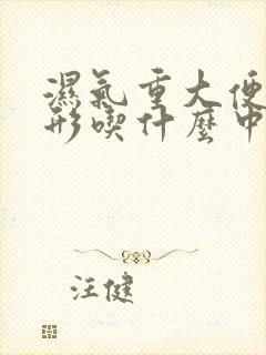 湿气重大便不成形吃什么中药