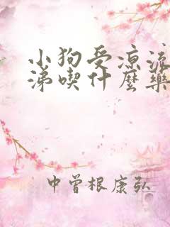 小狗受凉流清鼻涕吃什么药