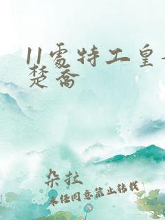 11处特工皇妃楚乔