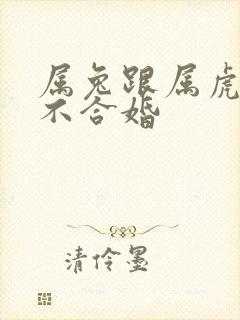 属兔跟属虎的合不合婚