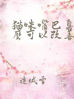 猫咪嘴巴臭吃什么可以改善