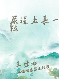 尿道上长一个肉粒