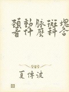 颈动脉斑块应该看什么科合适