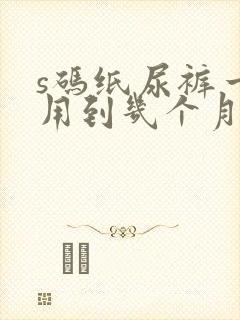 s码纸尿裤一般用到几个月